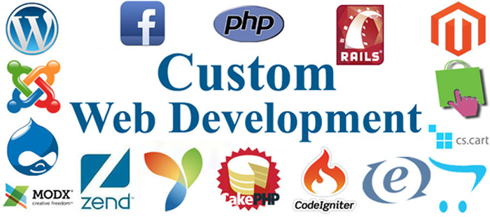 Custom-Web-Development1
